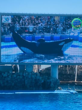 名古屋港水族館に投稿された画像（2022/11/5）