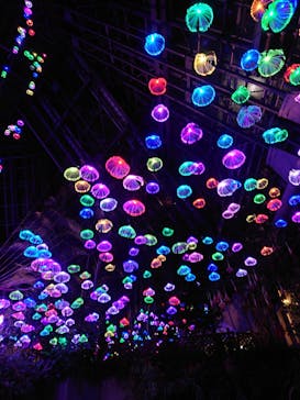 大阪府立花の文化園に投稿された画像（2022/11/5）