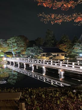 国営昭和記念公園 秋の夜散歩に投稿された画像（2022/11/5）