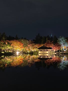 国営昭和記念公園 秋の夜散歩に投稿された画像（2022/11/5）