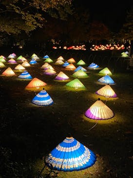 国営昭和記念公園 秋の夜散歩に投稿された画像（2022/11/5）