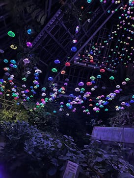 大阪府立花の文化園に投稿された画像（2022/11/5）