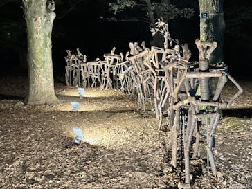 国営昭和記念公園 秋の夜散歩に投稿された画像（2022/11/5）