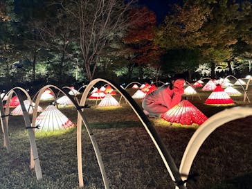 国営昭和記念公園 秋の夜散歩に投稿された画像（2022/11/5）