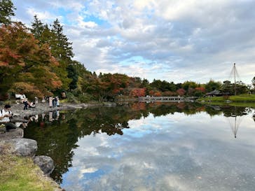 国営昭和記念公園 秋の夜散歩に投稿された画像（2022/11/5）