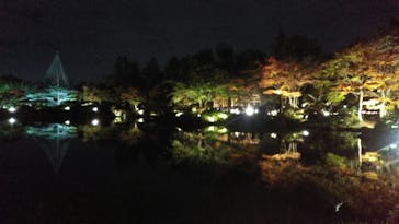 国営昭和記念公園 秋の夜散歩に投稿された画像（2022/11/5）