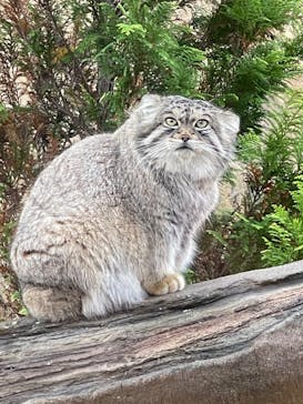 那須どうぶつ王国に投稿された画像（2022/11/5）