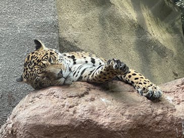 那須どうぶつ王国に投稿された画像（2022/11/5）