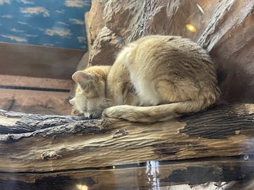 那須どうぶつ王国に投稿された画像（2022/11/5）