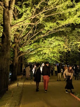 国営昭和記念公園 秋の夜散歩に投稿された画像（2022/11/5）