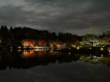 国営昭和記念公園 秋の夜散歩に投稿された画像（2022/11/5）