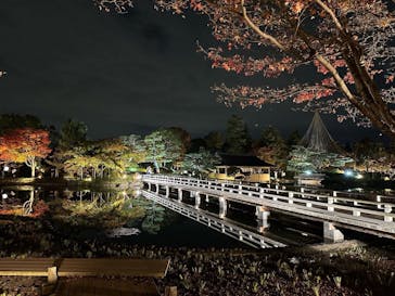 国営昭和記念公園 秋の夜散歩に投稿された画像（2022/11/5）