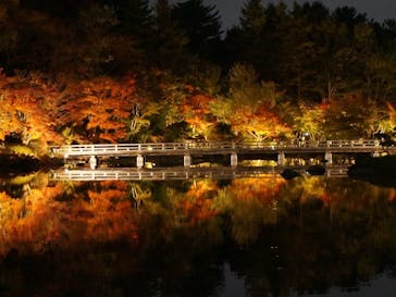 国営昭和記念公園 秋の夜散歩に投稿された画像（2022/11/5）