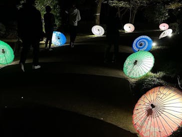 国営昭和記念公園 秋の夜散歩に投稿された画像（2022/11/5）