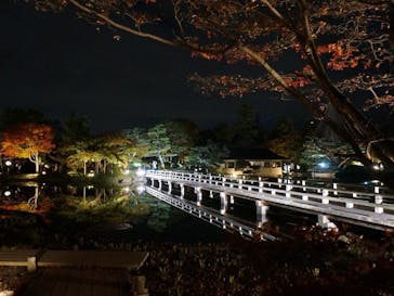 国営昭和記念公園 秋の夜散歩に投稿された画像（2022/11/5）
