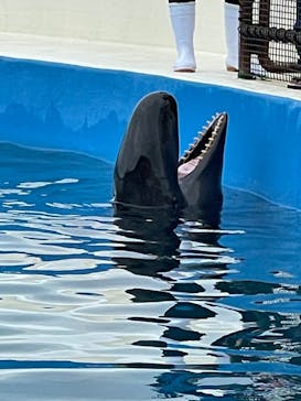 沖縄美ら海水族館に投稿された画像（2022/11/5）