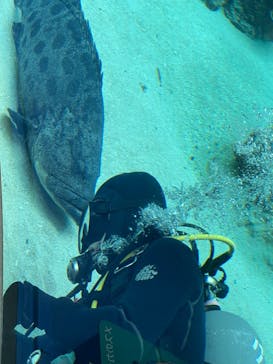 沖縄美ら海水族館に投稿された画像（2022/11/5）