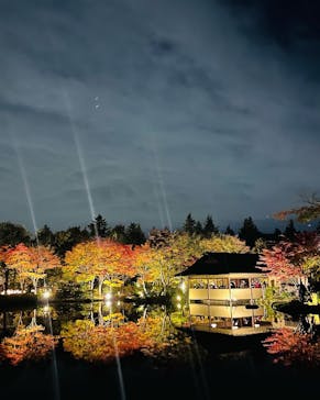 国営昭和記念公園 秋の夜散歩に投稿された画像（2022/11/5）