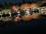 国営昭和記念公園 秋の夜散歩に投稿された画像（2022/11/6）