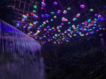 大阪府立花の文化園に投稿された画像（2022/11/6）