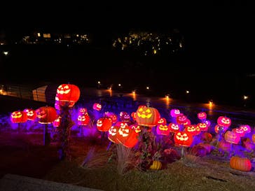 NESTA RESORT KOBE（ネスタリゾート神戸）に投稿された画像（2022/11/6）