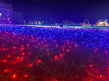 東武動物公園に投稿された画像（2022/11/6）