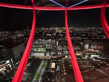 NAKED FLOWERS 2022 秋 世界遺産・二条城に投稿された画像（2022/11/6）