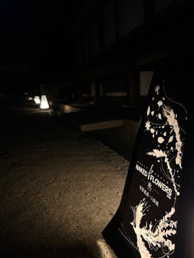 NAKED FLOWERS 2022 秋 世界遺産・二条城に投稿された画像（2022/11/6）