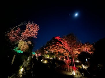 NAKED FLOWERS 2022 秋 世界遺産・二条城に投稿された画像（2022/11/6）