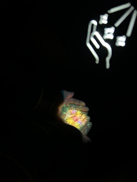 NAKED FLOWERS 2022 秋 世界遺産・二条城に投稿された画像（2022/11/6）