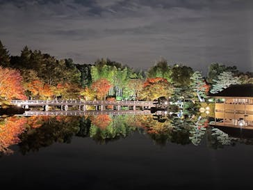 国営昭和記念公園 秋の夜散歩に投稿された画像（2022/11/6）