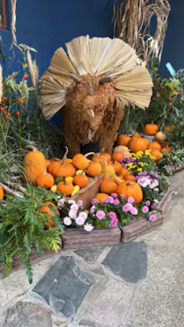 ひらかたパークに投稿された画像（2022/11/6）