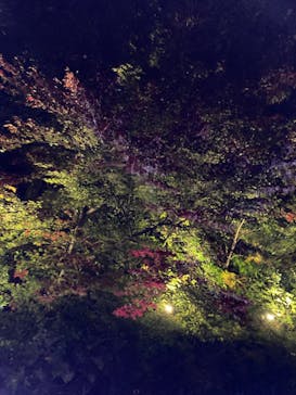 ムーミンバレーパークに投稿された画像（2022/11/6）