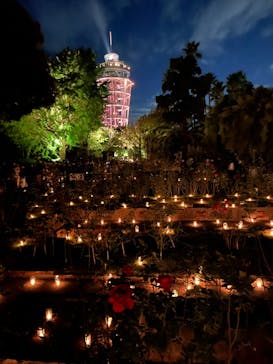 江の島シーキャンドルに投稿された画像（2022/11/6）