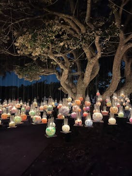 江の島シーキャンドルに投稿された画像（2022/11/6）