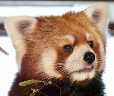 ネオパークオキナワに投稿された画像（2022/11/6）