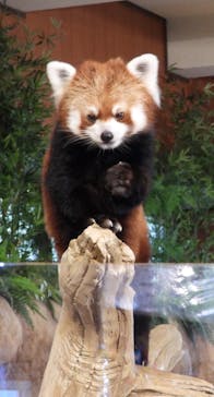 ネオパークオキナワに投稿された画像（2022/11/6）