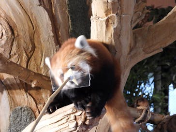 ネオパークオキナワに投稿された画像（2022/11/6）