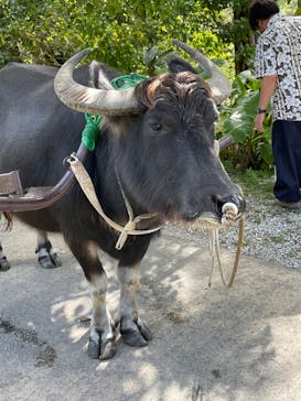 ビオスの丘に投稿された画像（2022/11/6）