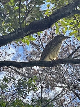 ビオスの丘に投稿された画像（2022/11/6）