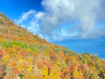 びわ湖バレイに投稿された画像（2022/11/6）