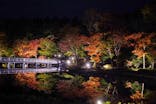 国営昭和記念公園 秋の夜散歩に投稿された画像（2022/11/6）