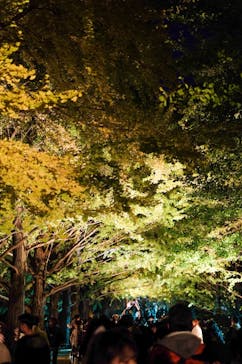 国営昭和記念公園 秋の夜散歩に投稿された画像（2022/11/6）