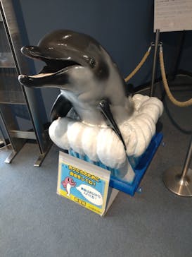 名古屋港水族館に投稿された画像（2022/11/6）