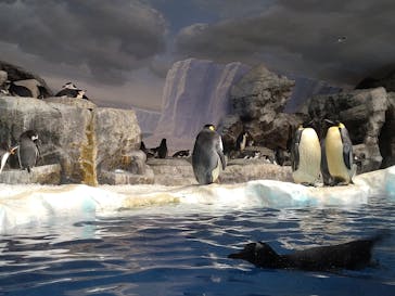 名古屋港水族館に投稿された画像（2022/11/6）