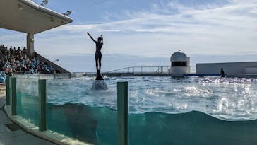 鴨川シーワールドに投稿された画像（2022/11/6）