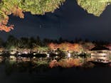 国営昭和記念公園 秋の夜散歩に投稿された画像（2022/11/6）