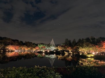 国営昭和記念公園 秋の夜散歩に投稿された画像（2022/11/6）