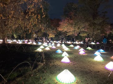 国営昭和記念公園 秋の夜散歩に投稿された画像（2022/11/6）