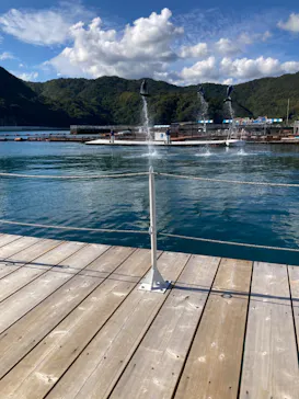 うみたま体験パーク 「つくみイルカ島」に投稿された画像（2022/11/6）